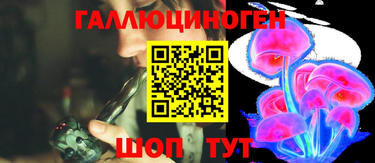 Галлюциногенные грибы Psilocybine cubensis  Вход с VPN  Галлюциногенные грибы Psilocybe  где найти наркотики  Заводоуковск 